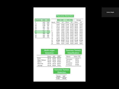 Multi-modal Large Language Models for the Detection of Pancreas Diseases (Andrea Moglia, Spoke 4)